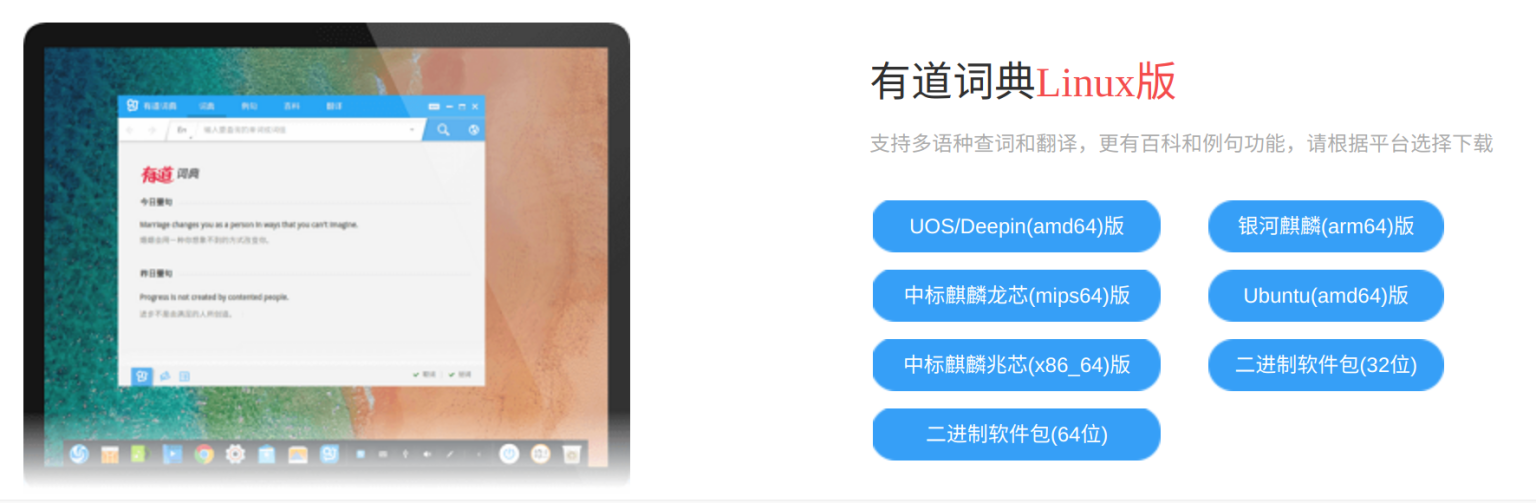 有道翻译支持长文本翻译吗？