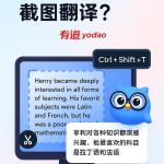 有道翻译官网是正规的吗？